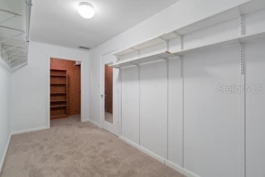 primary cedar closet