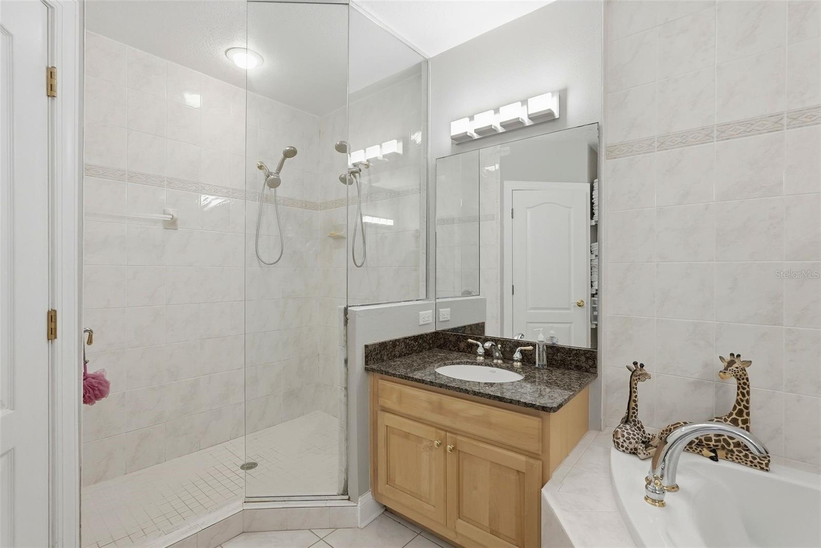 Large walk in shower in master!