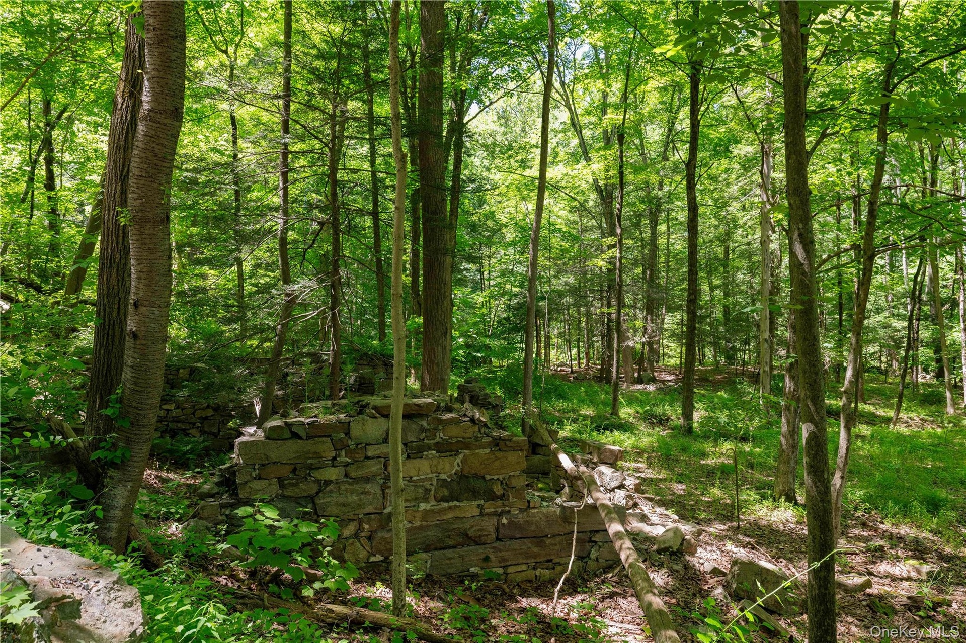 Historic grist mill