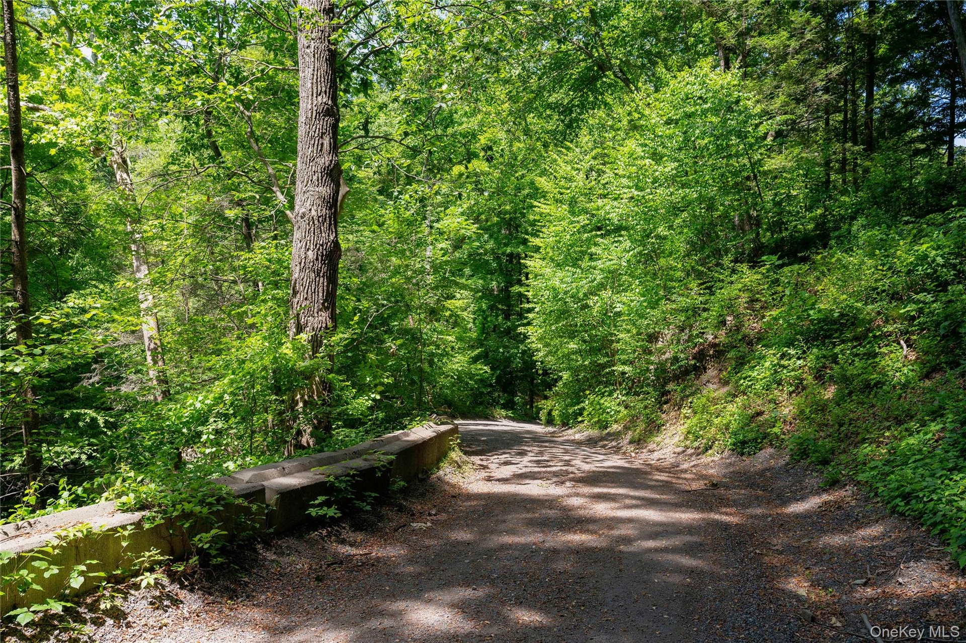 Part of the property