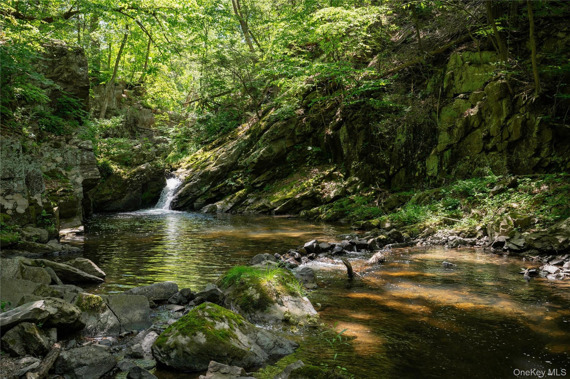 Waterfall on the property