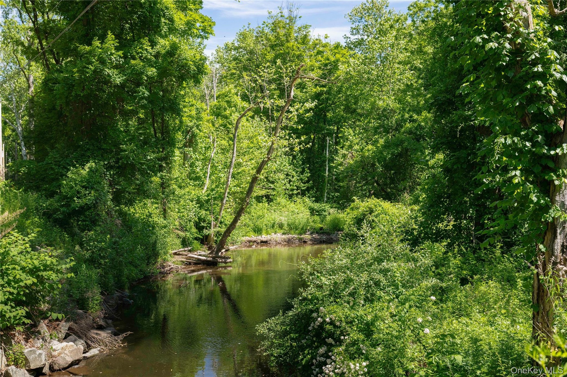 Part of the property
