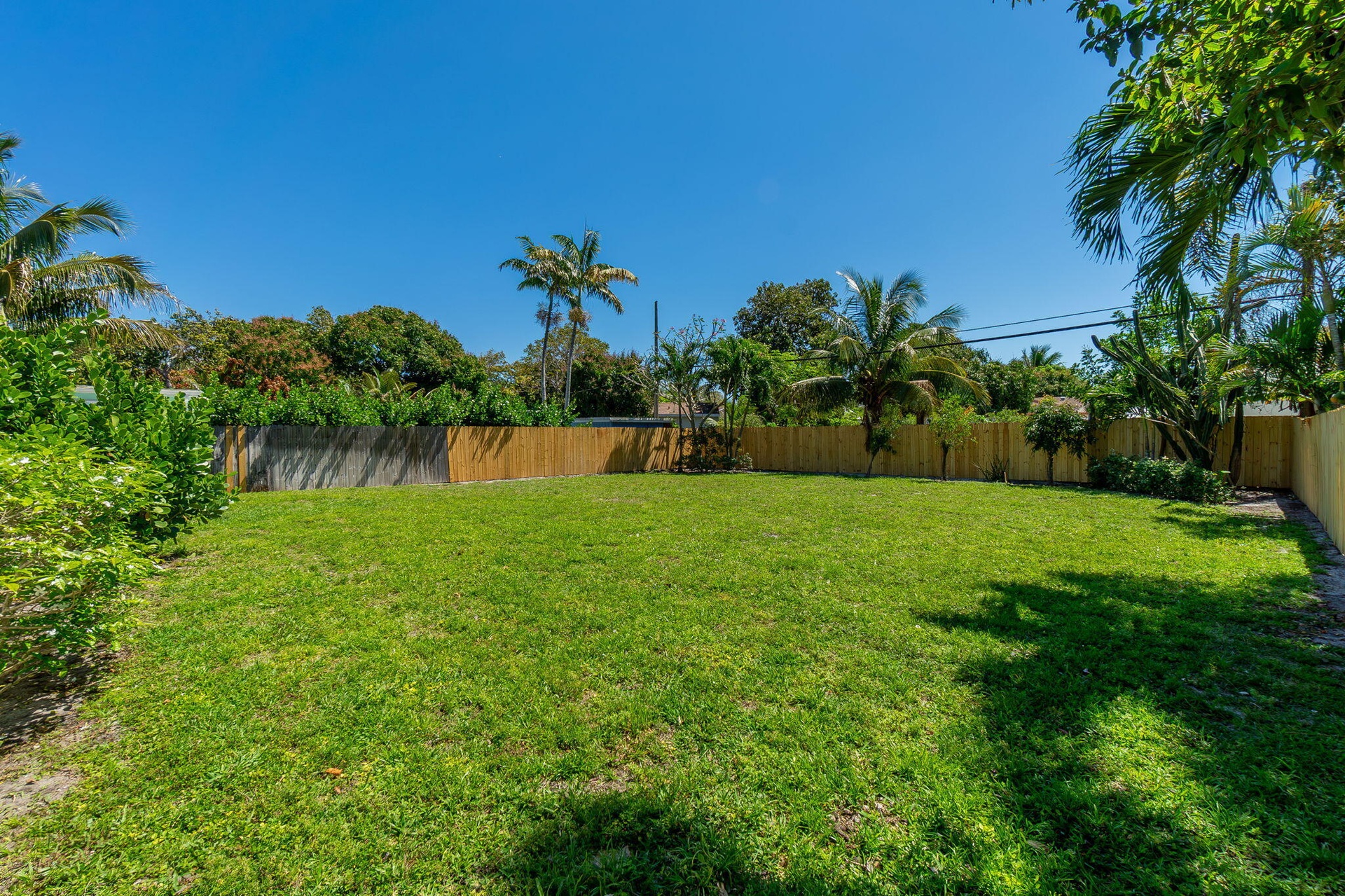 BACK YARD