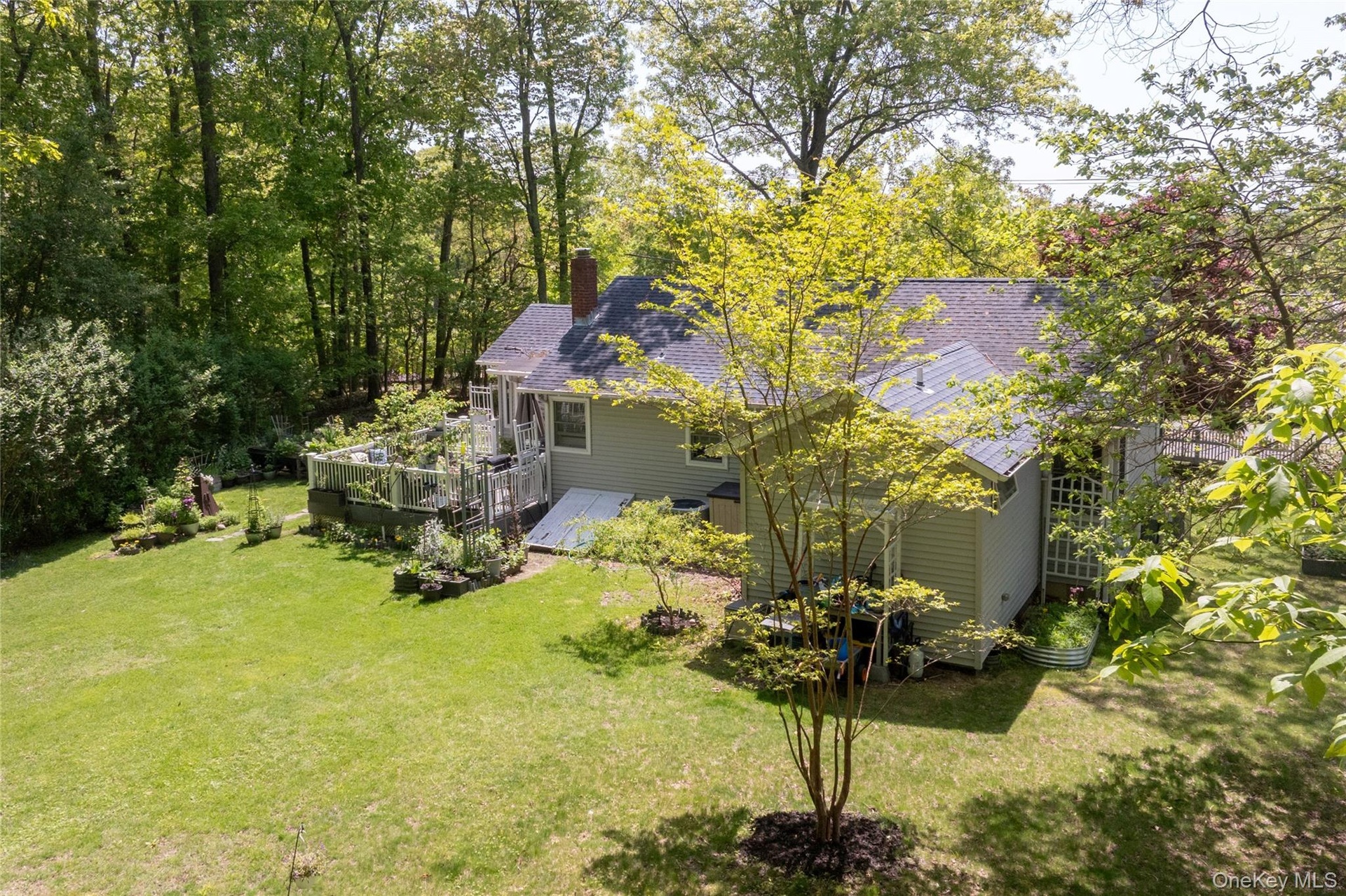 Spacious rear yard