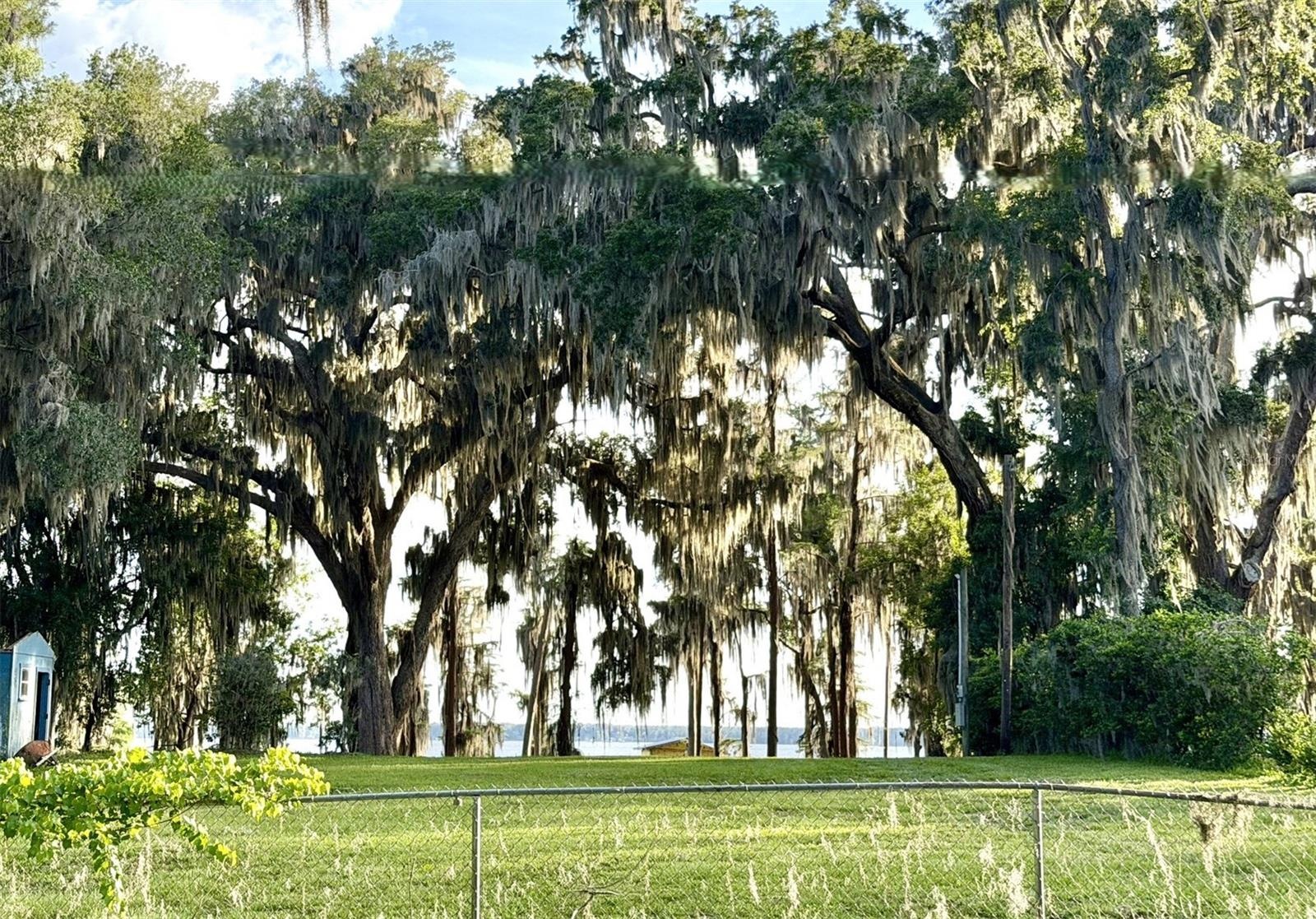 Across the street from the house is this lake view!