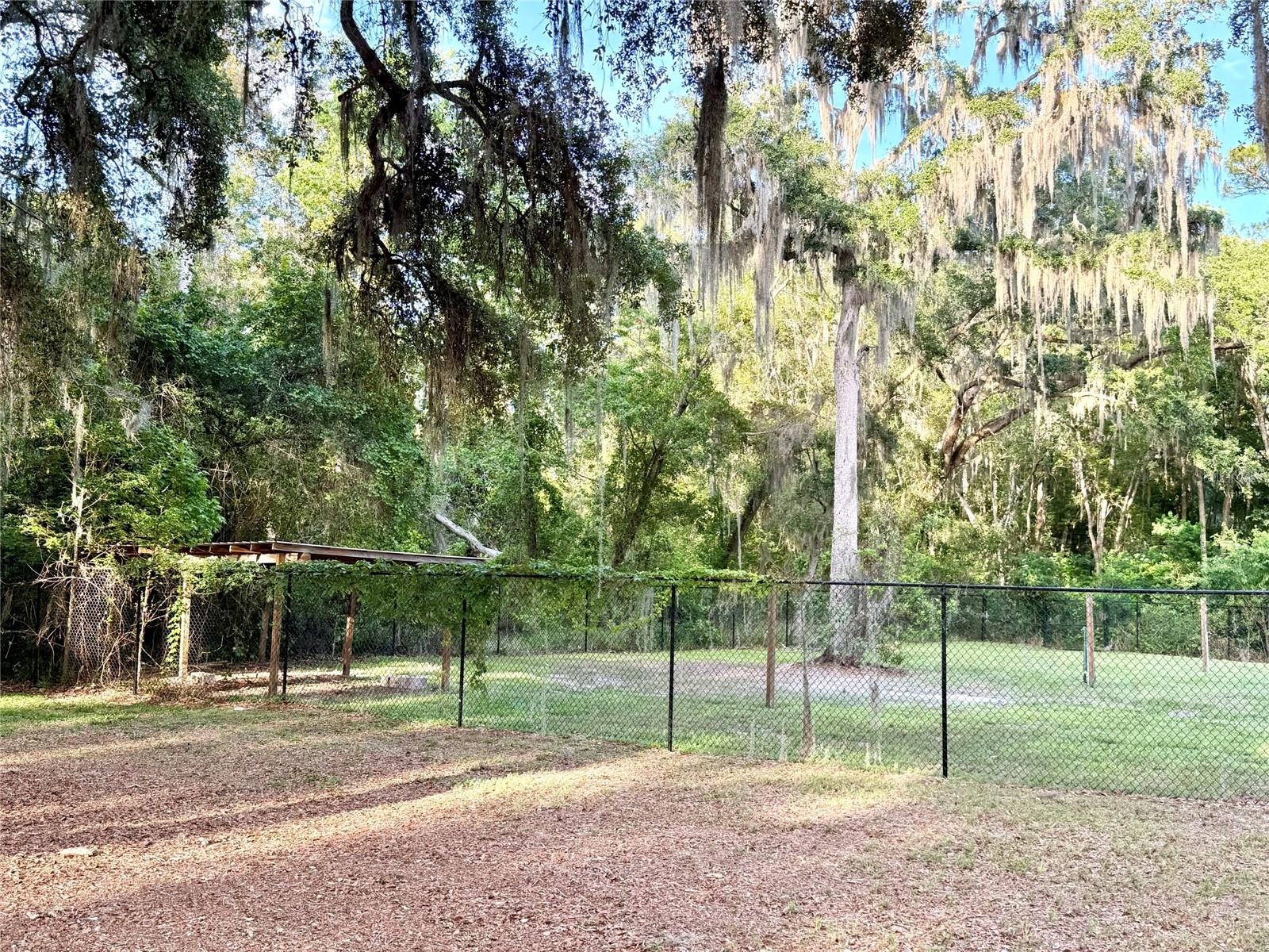 New chained link fencing & another small covered area for storage