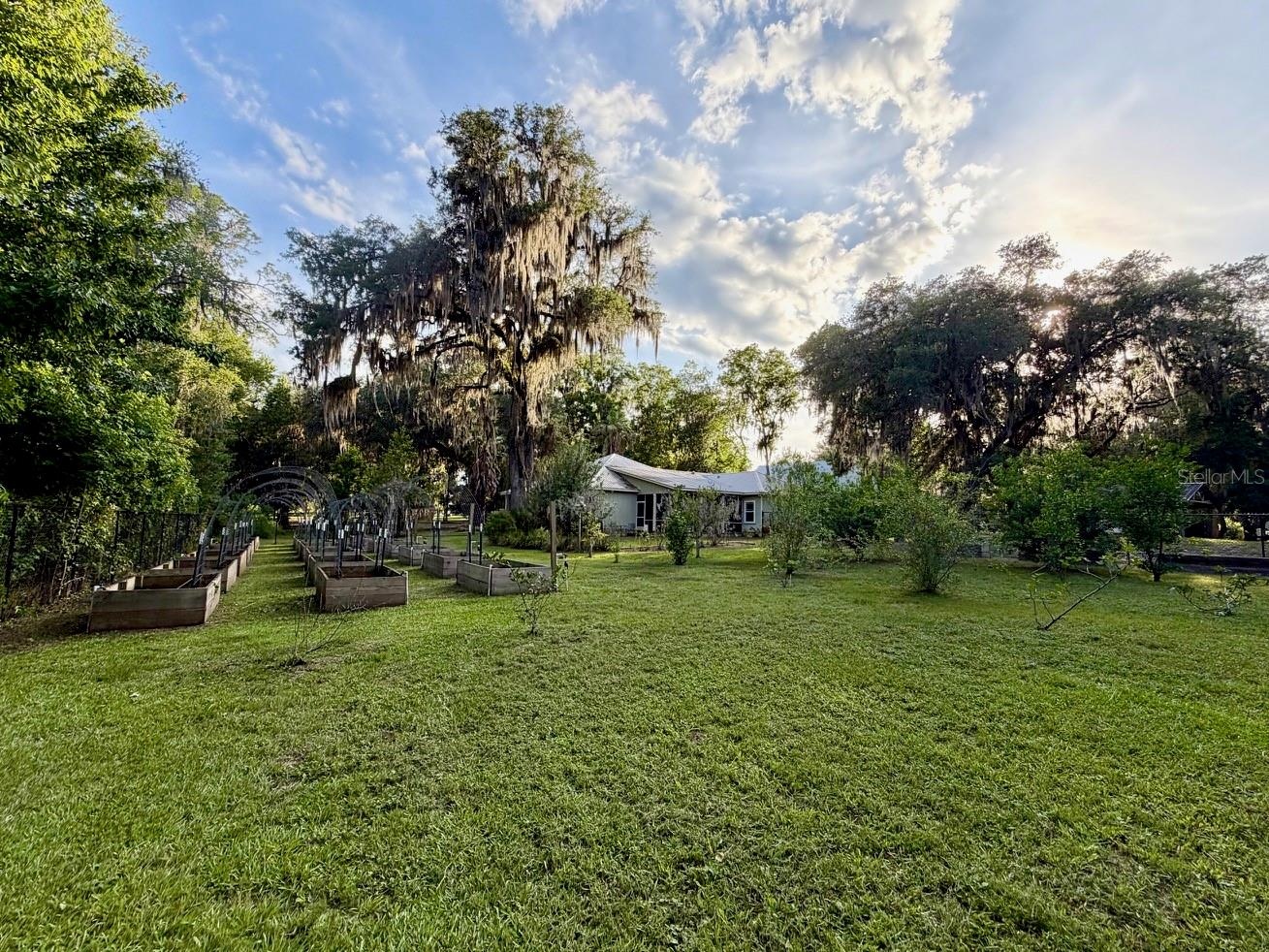 View of the back yard