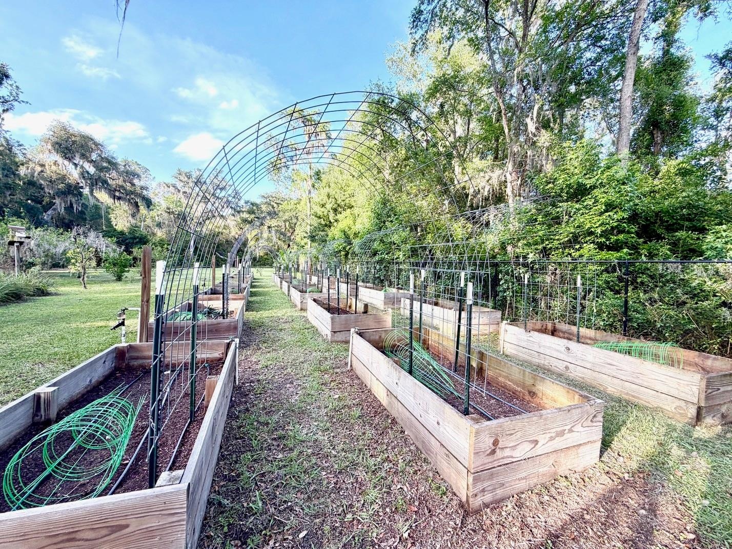 25 raised garden beds with irrigation