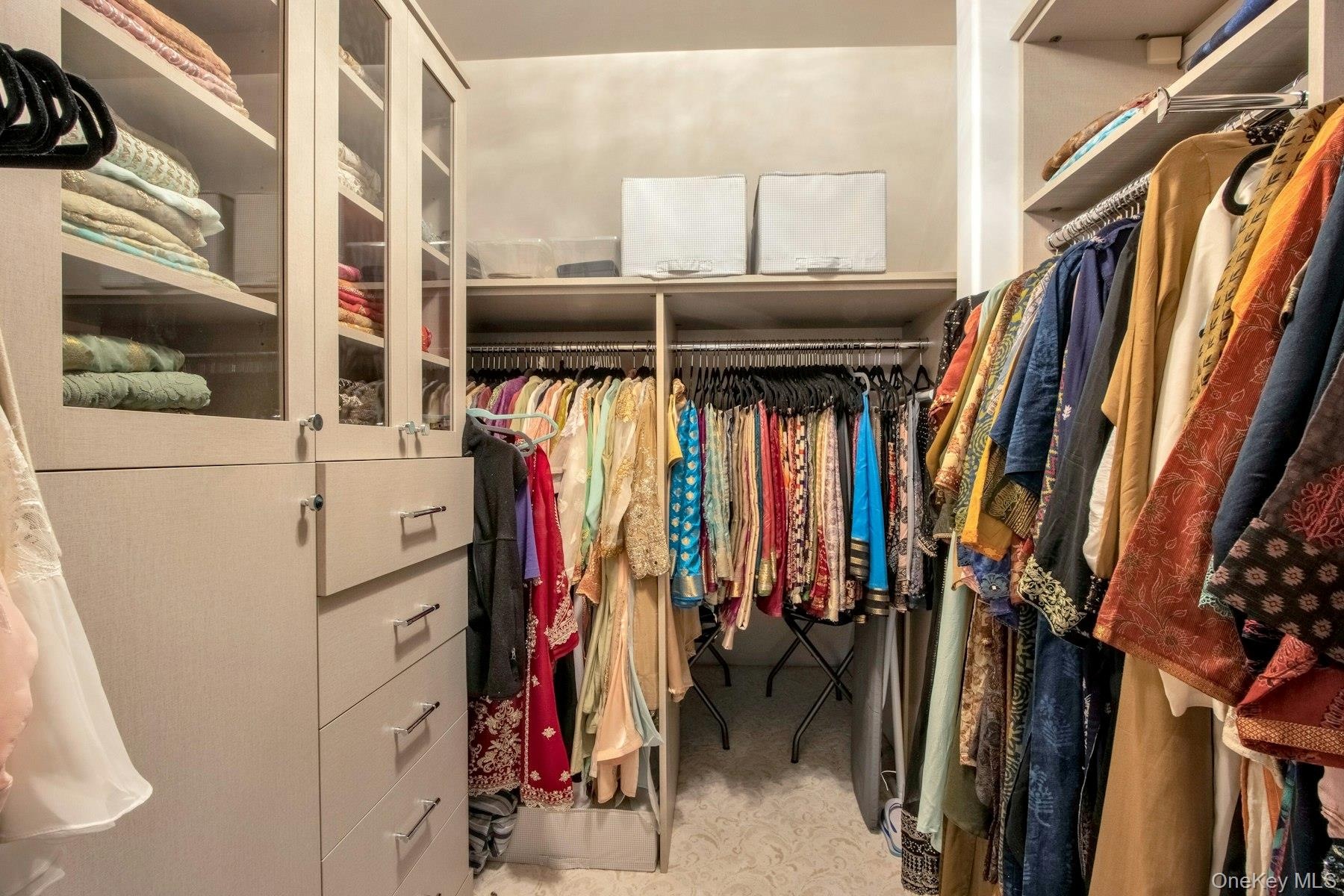 Spacious closet with carpet flooring