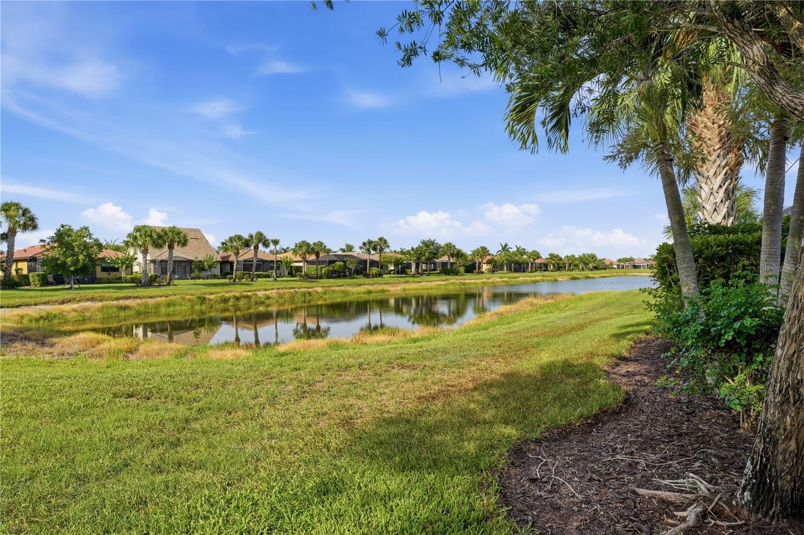 Pond View