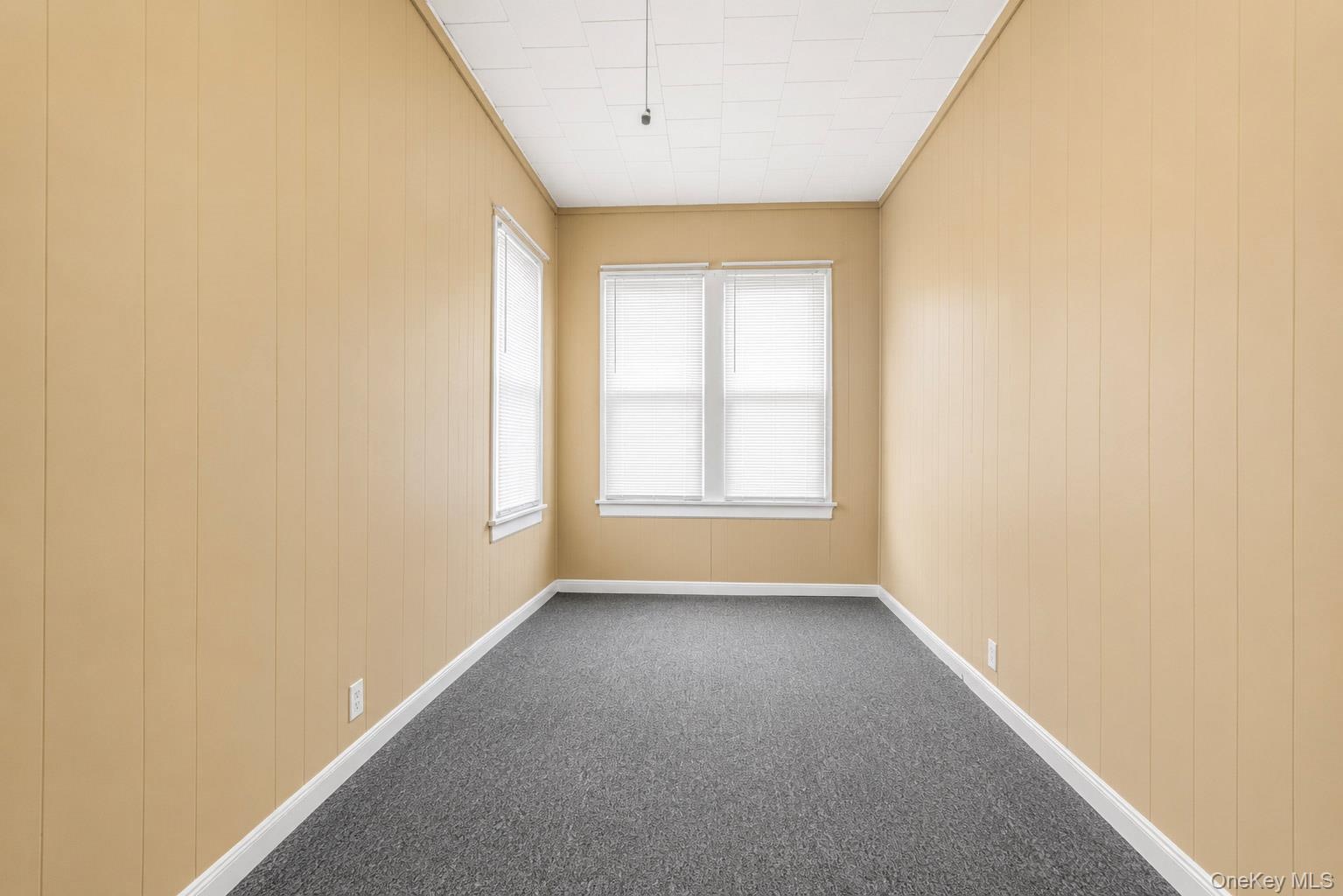 Room featuring two windows with white blinds, neutral-toned vertical paneling, white trim, and gray carpeting