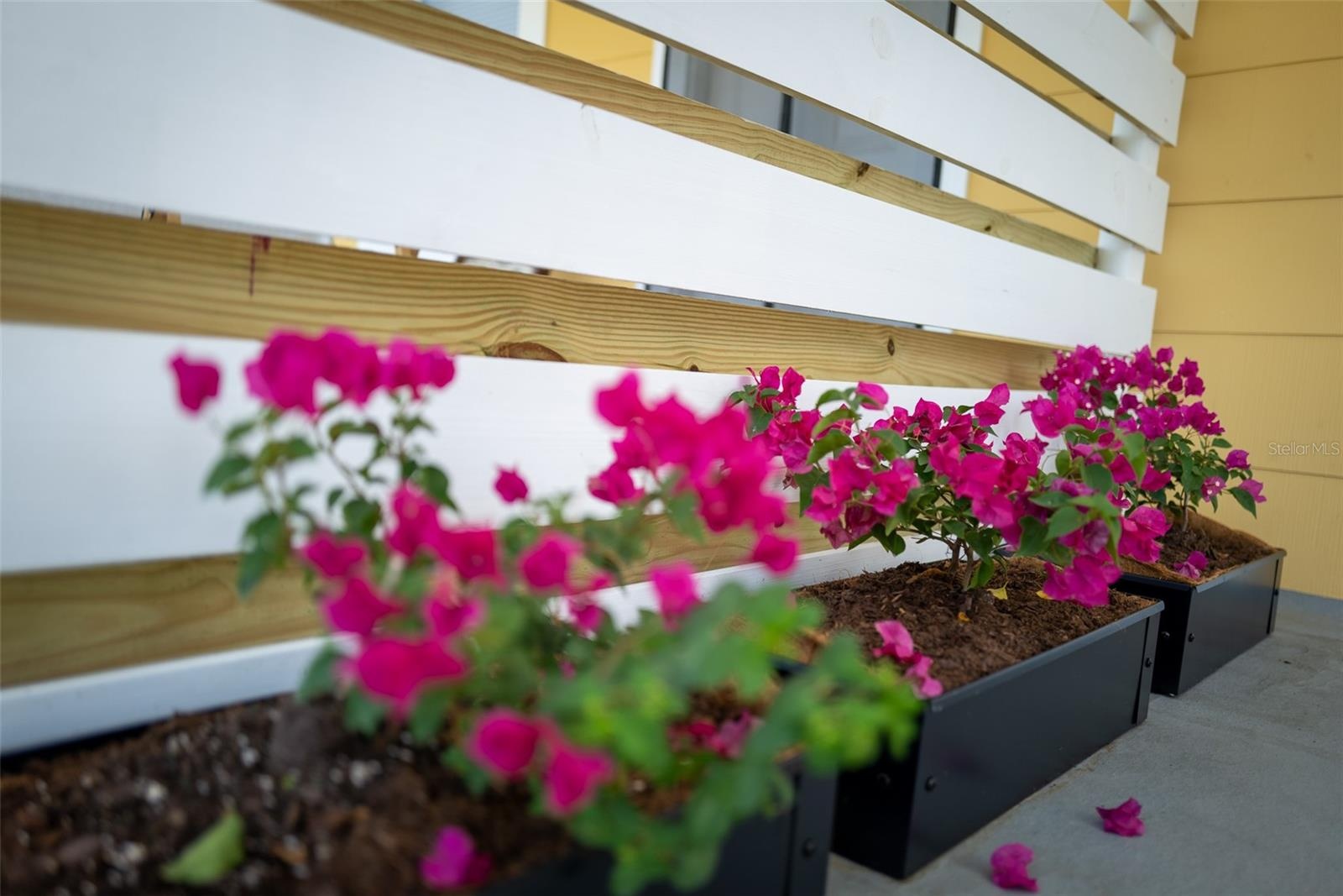 Owners balcony divider