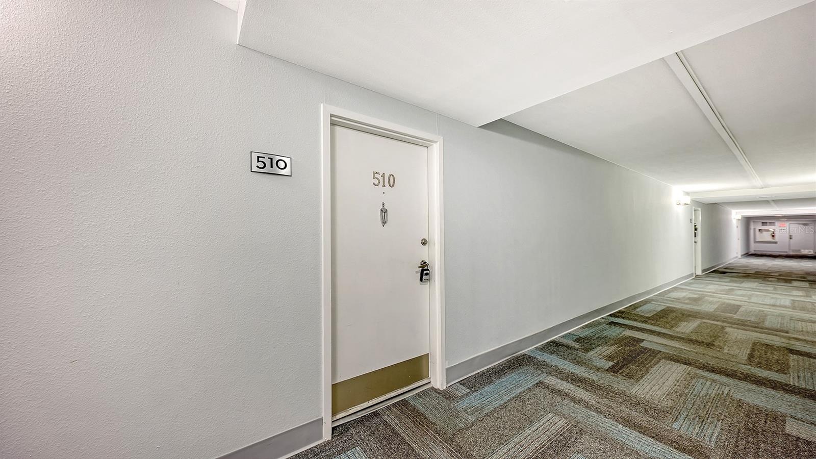 Front door and hallway