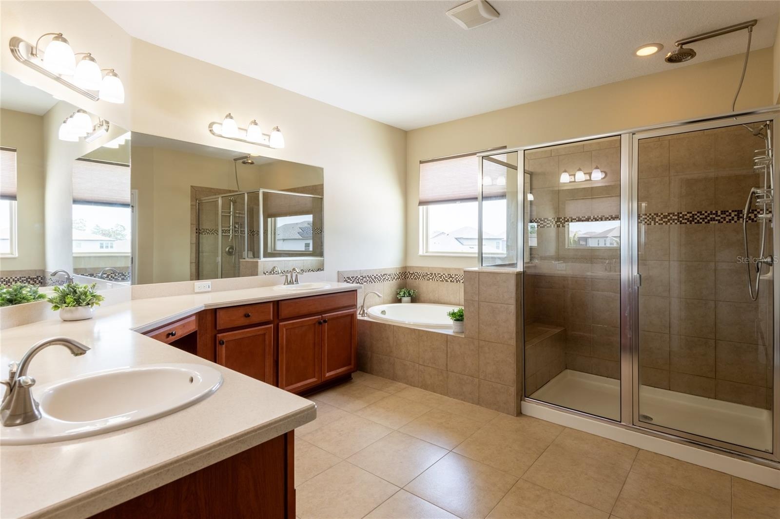 Large shower stall and soaking tub with a water closet.