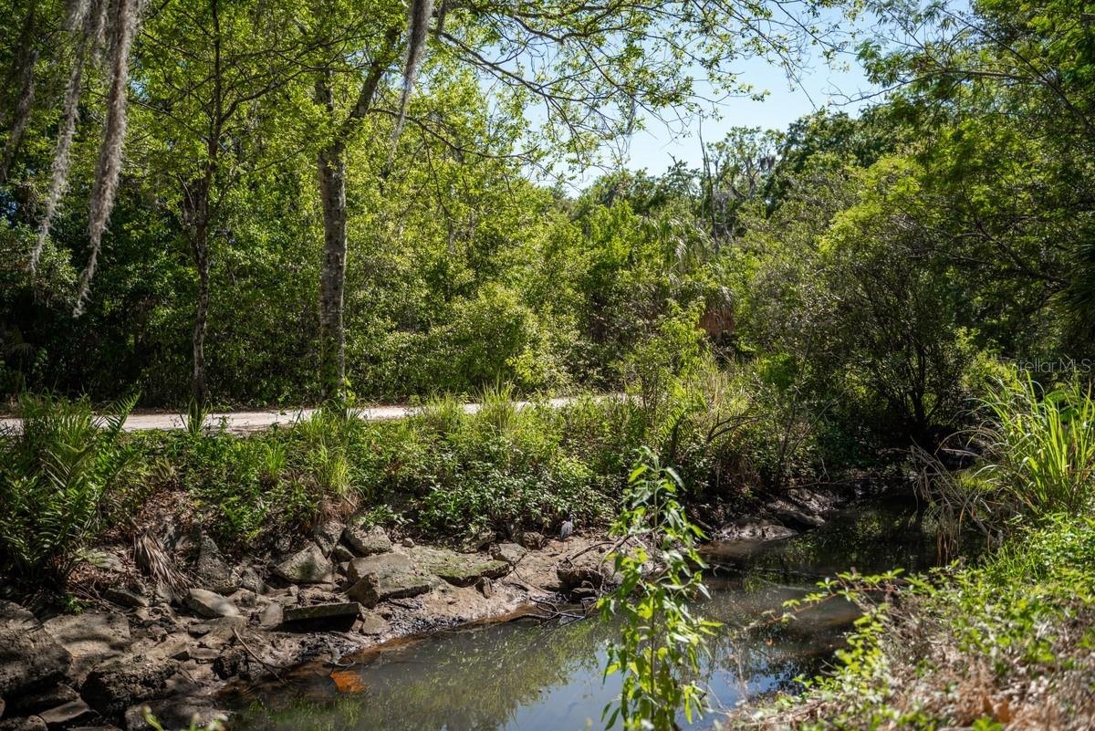 Park Creek