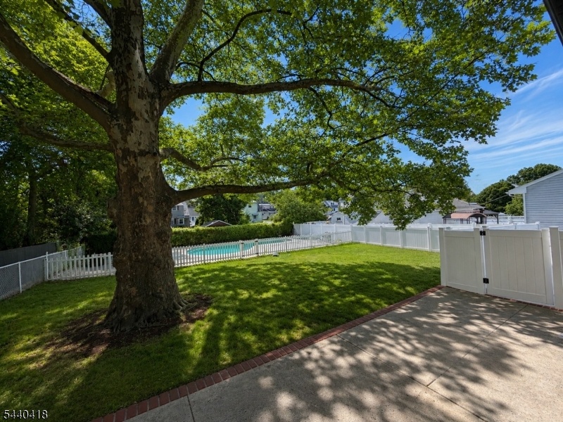 backyardbackyar
