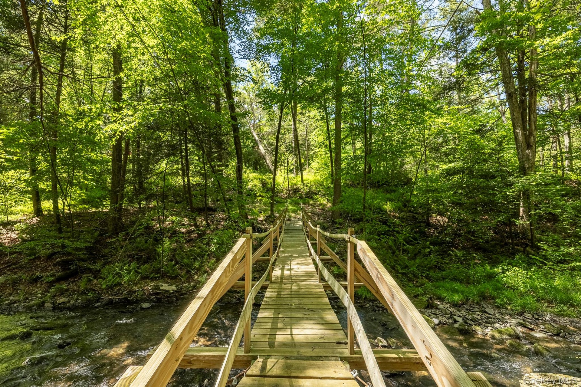 Bridge over stream with a view of trees
