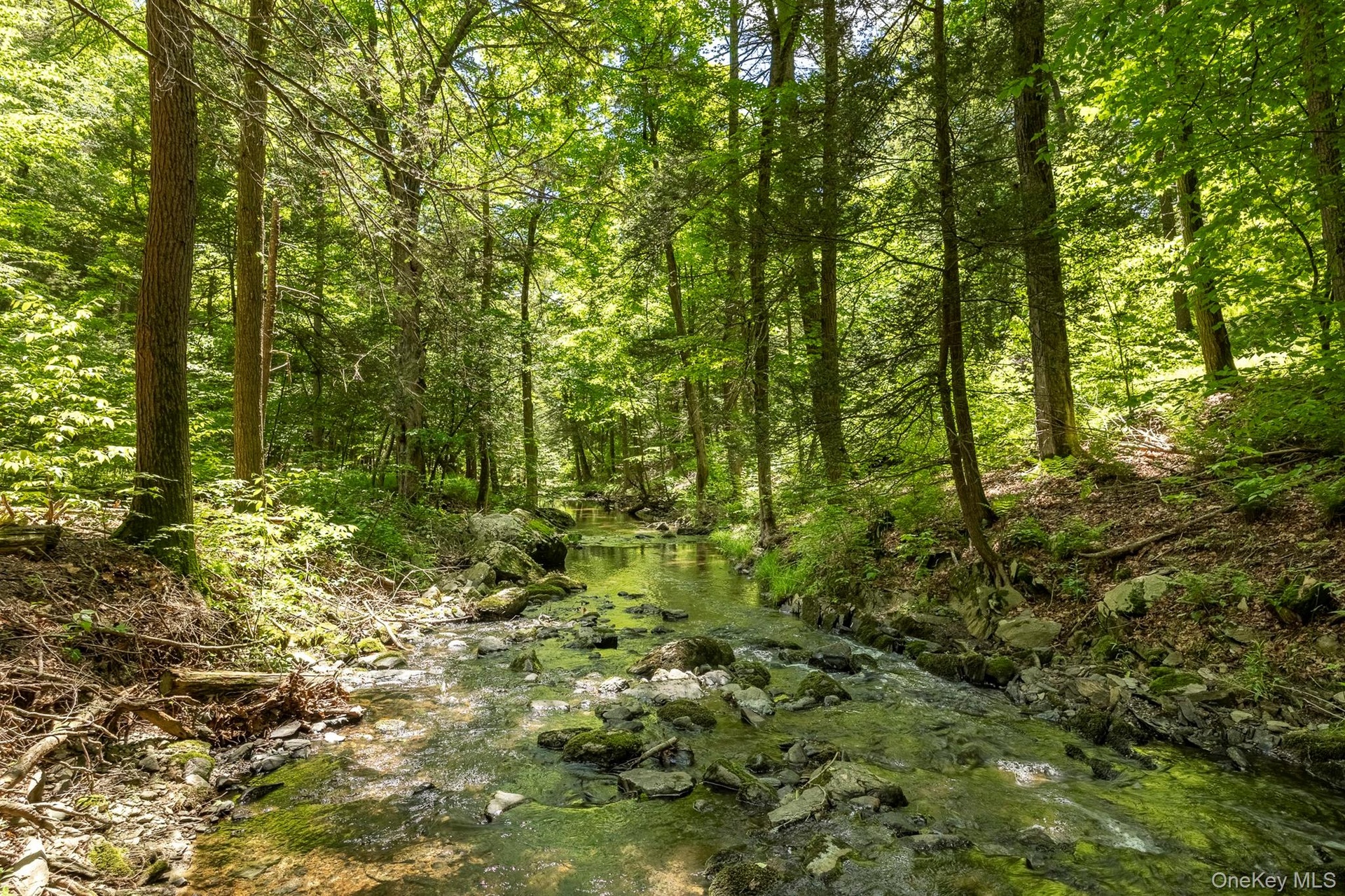 property on both sides of the stream