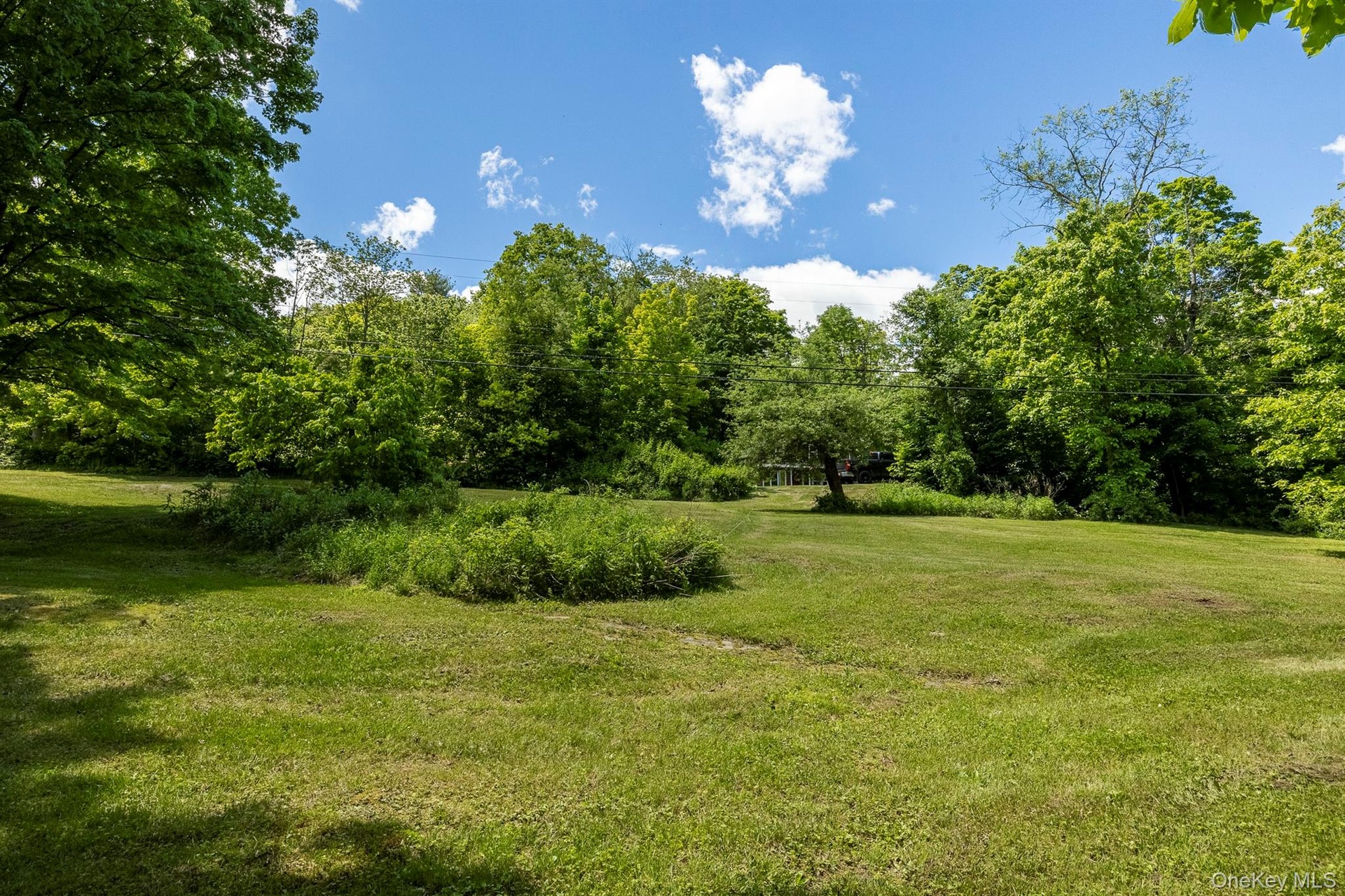 View of grassy yard