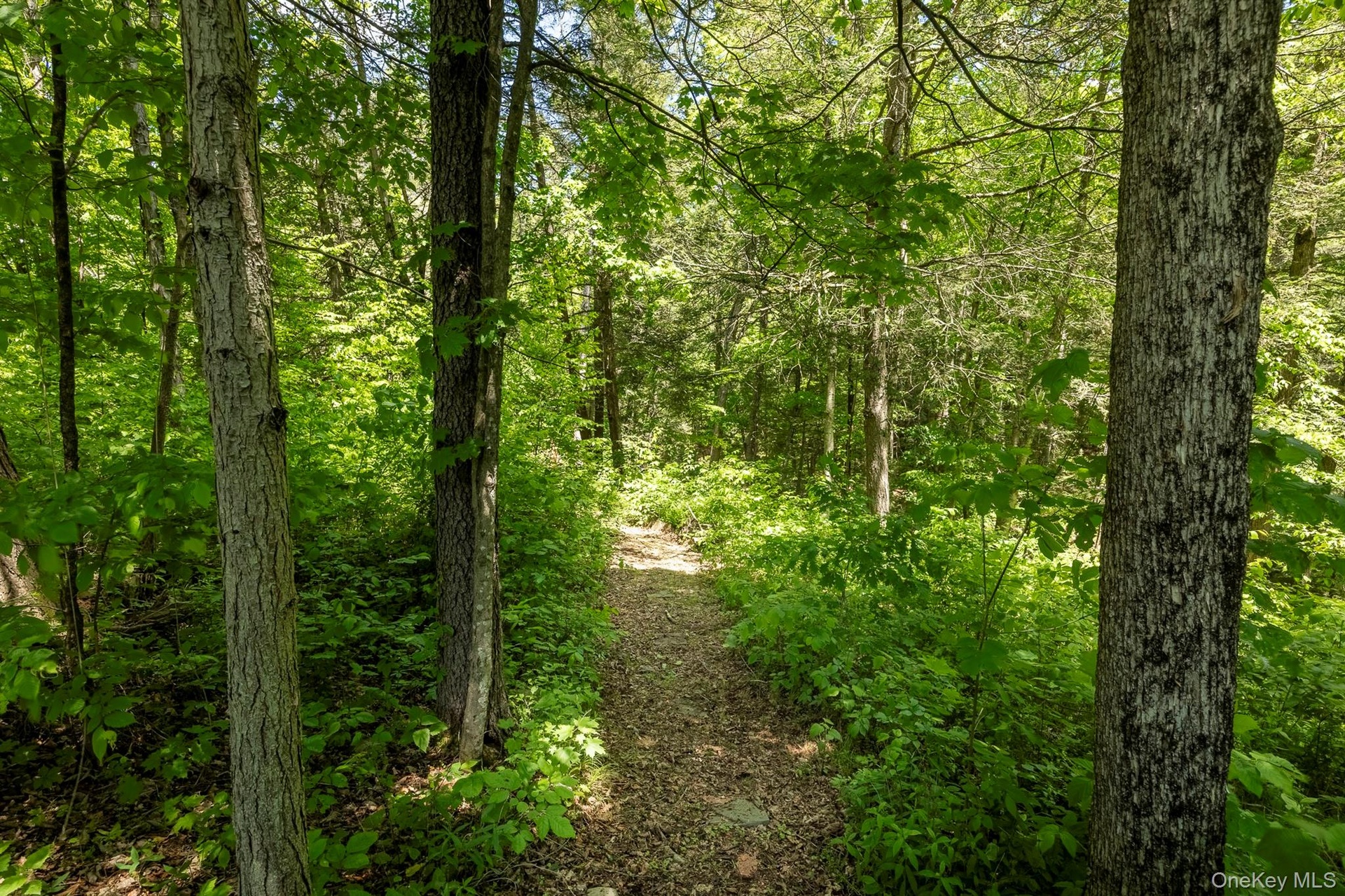 path to the stream