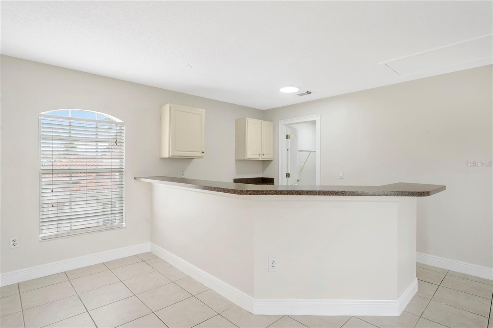 Bonus room wetbar