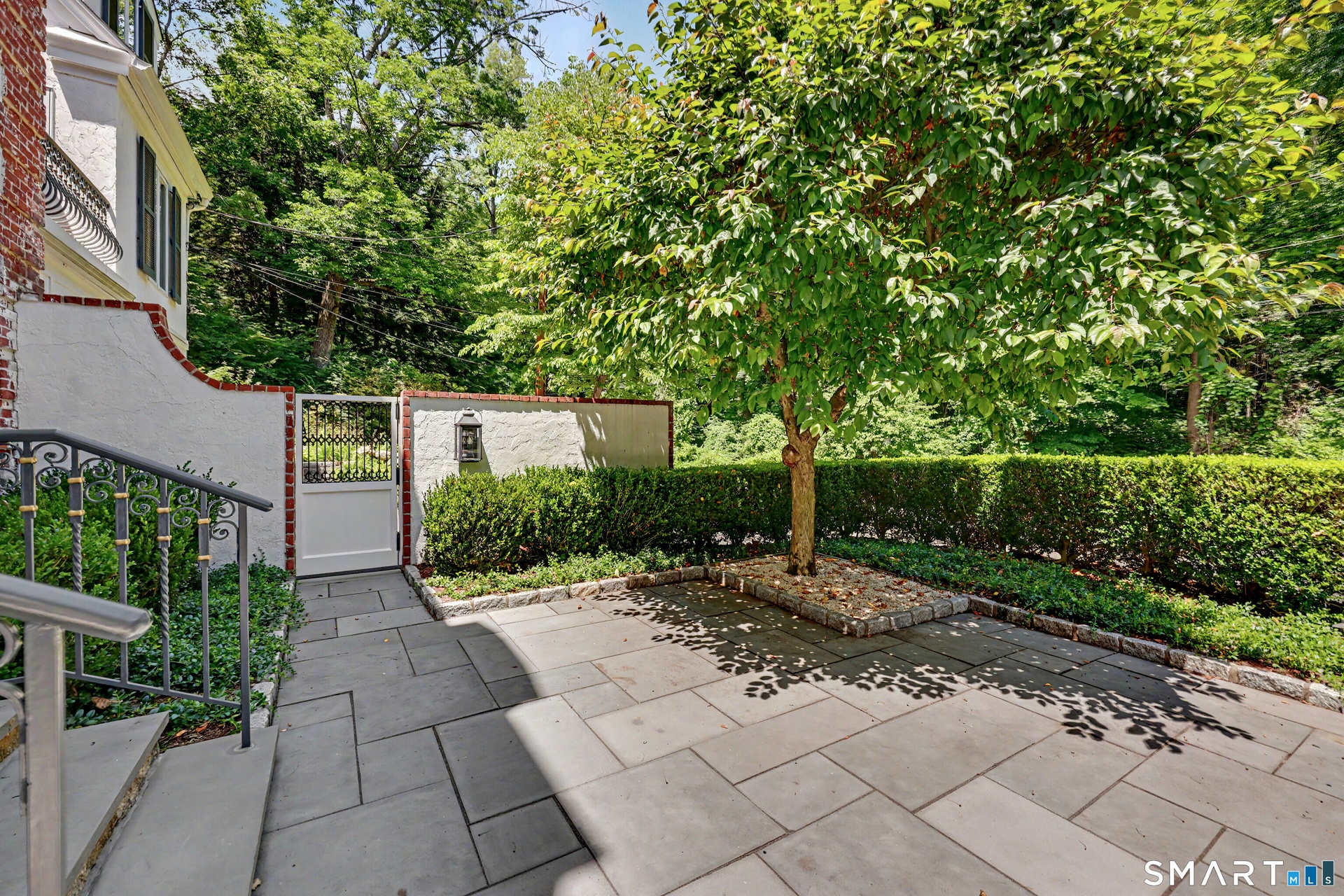Front Yard