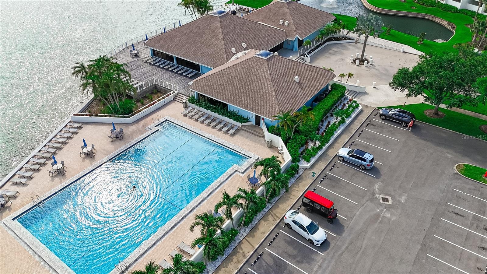 There are always dolphins playing in front of the pool