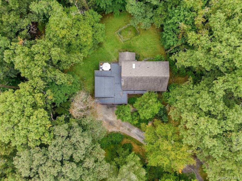 Birds eye view of bird song life!