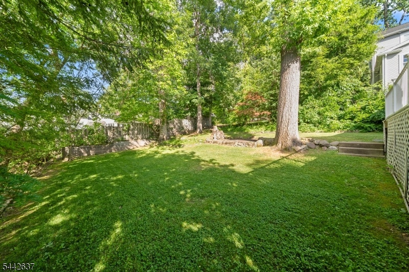 Backyard1