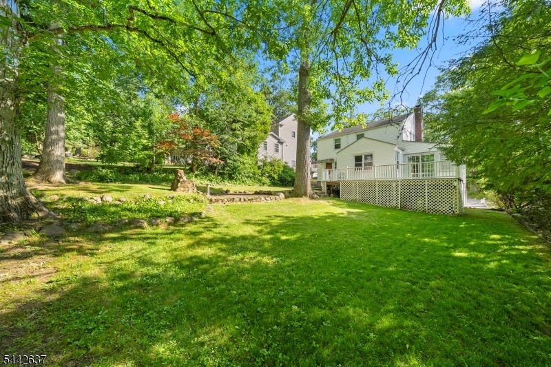 Backyard2