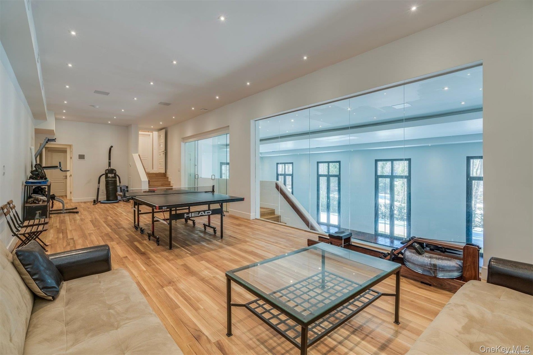 Home Gym/ Game Room