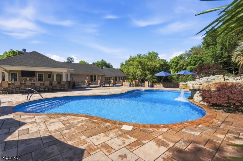 Backyard Pool Area