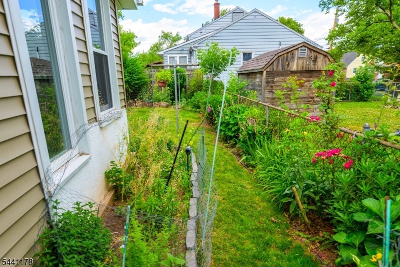 Perennials throughout yd
