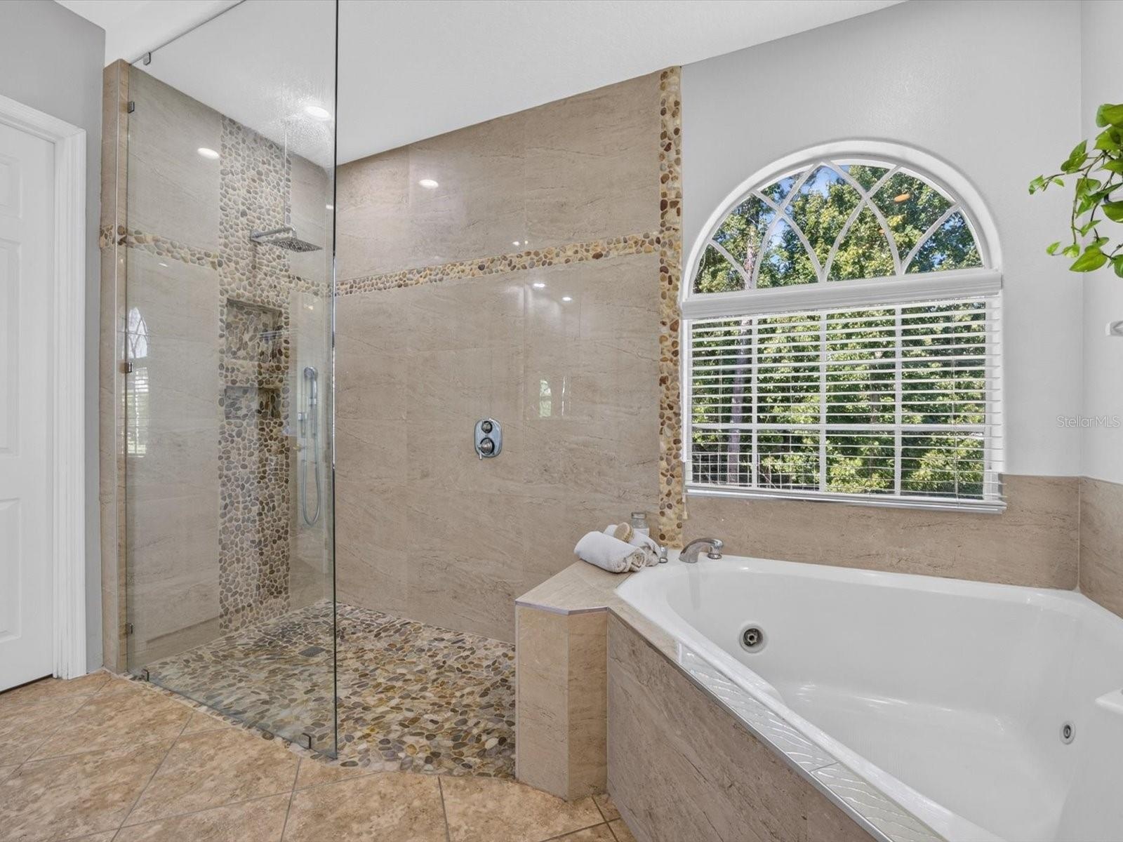 Primary bathroom (downstairs)