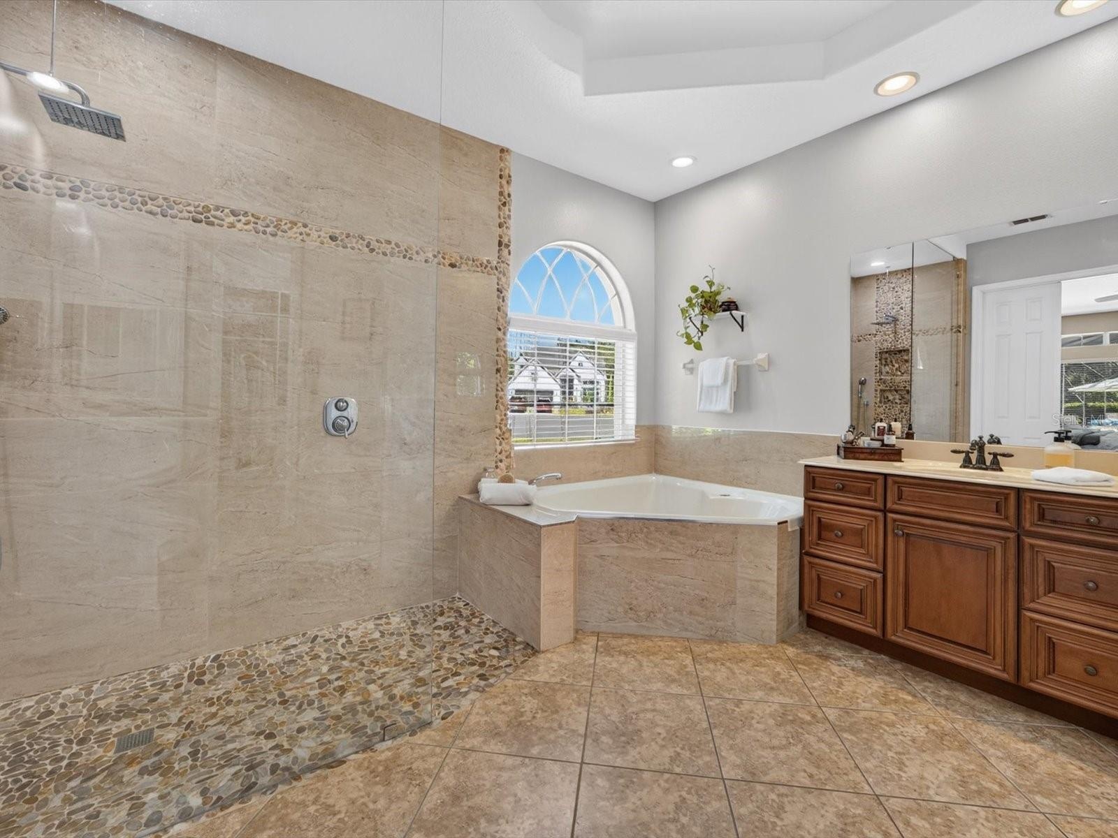 Primary bathroom (downstairs)