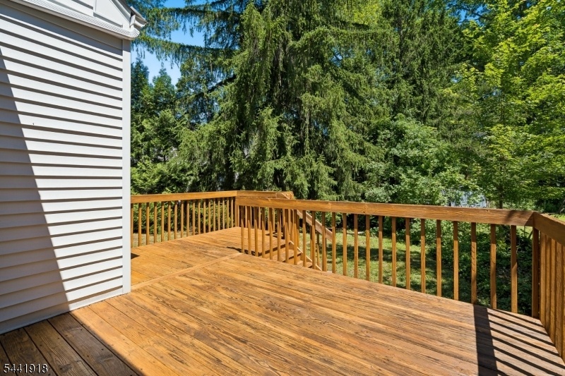 Back Deck