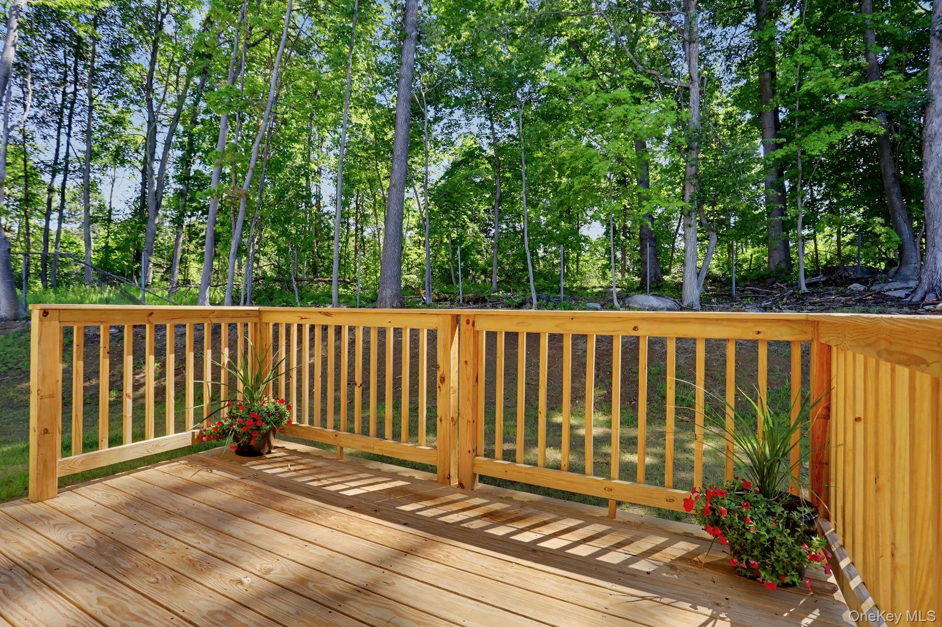 Back deck with access to yard