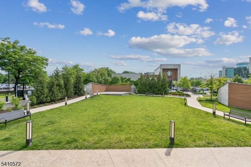 Outdoor Yard Space