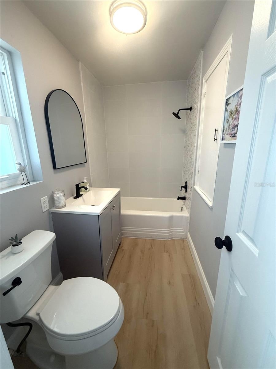 Downstairs Common Bathroom