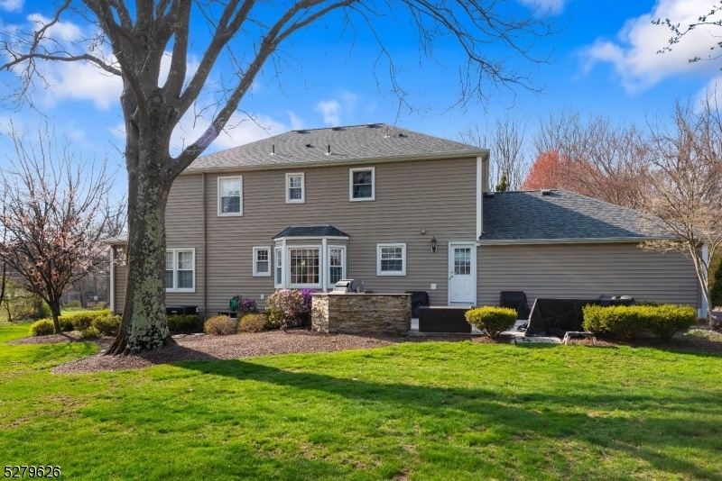 Rear View