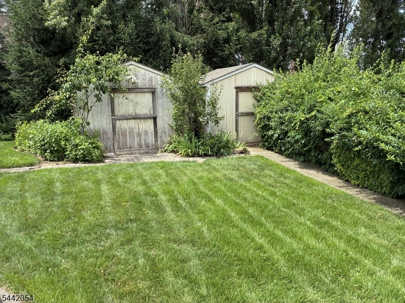 Backyard w/ 2 sheds