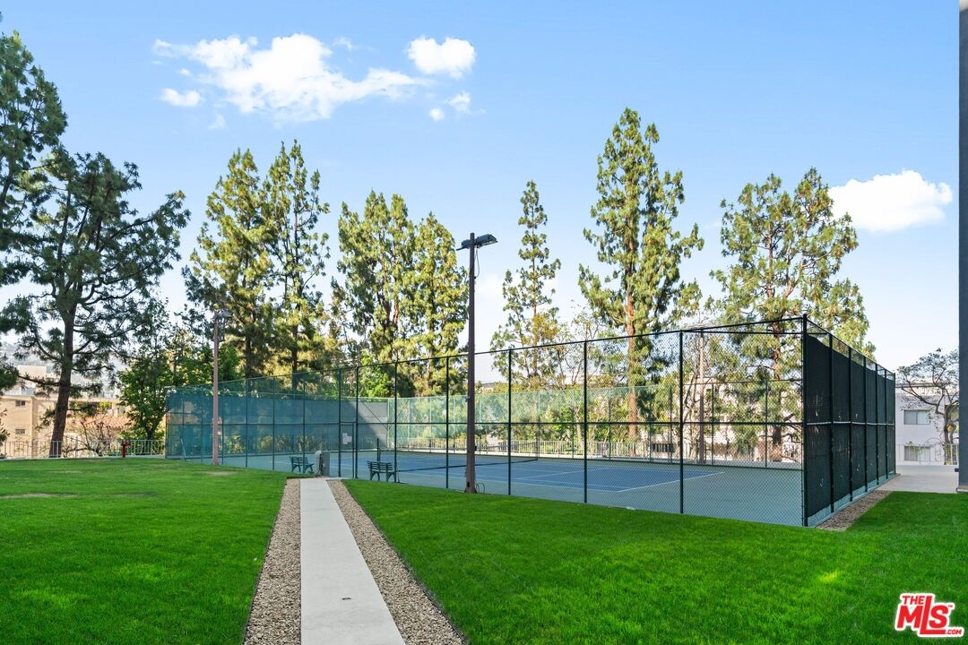 Tennis court