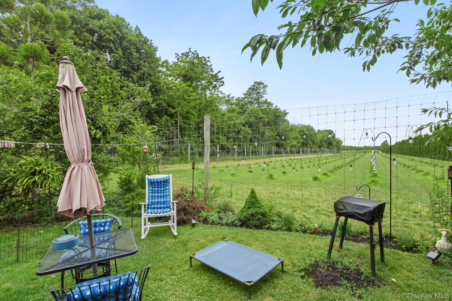 Yard with Tree Farm views