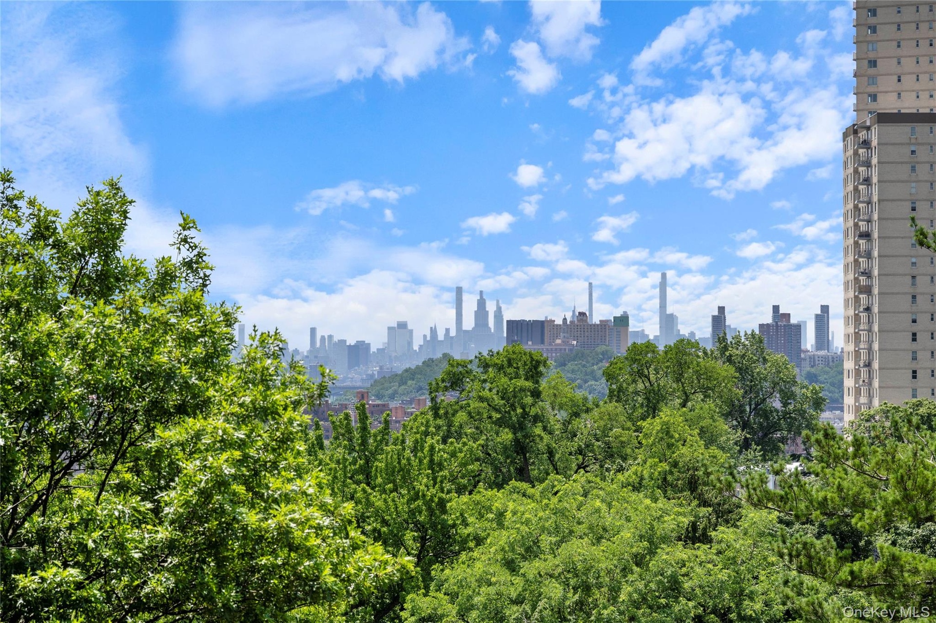 Expansive cityscape backdrop featuring a distant urban skyline