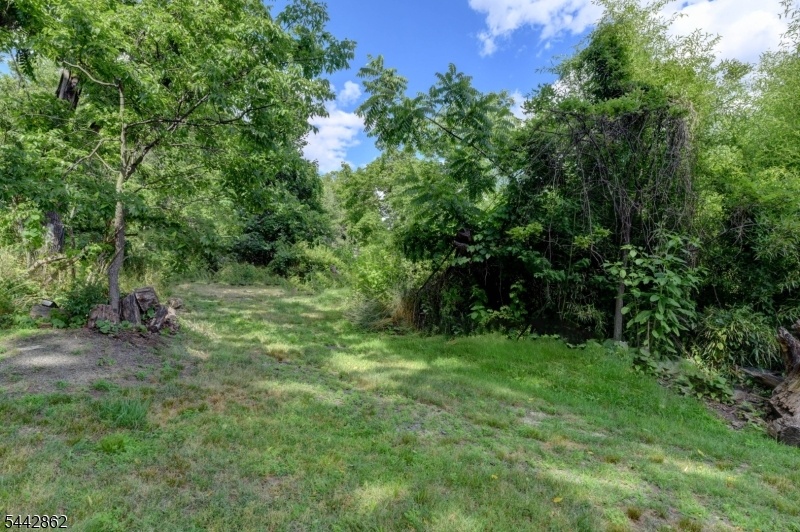 other back property