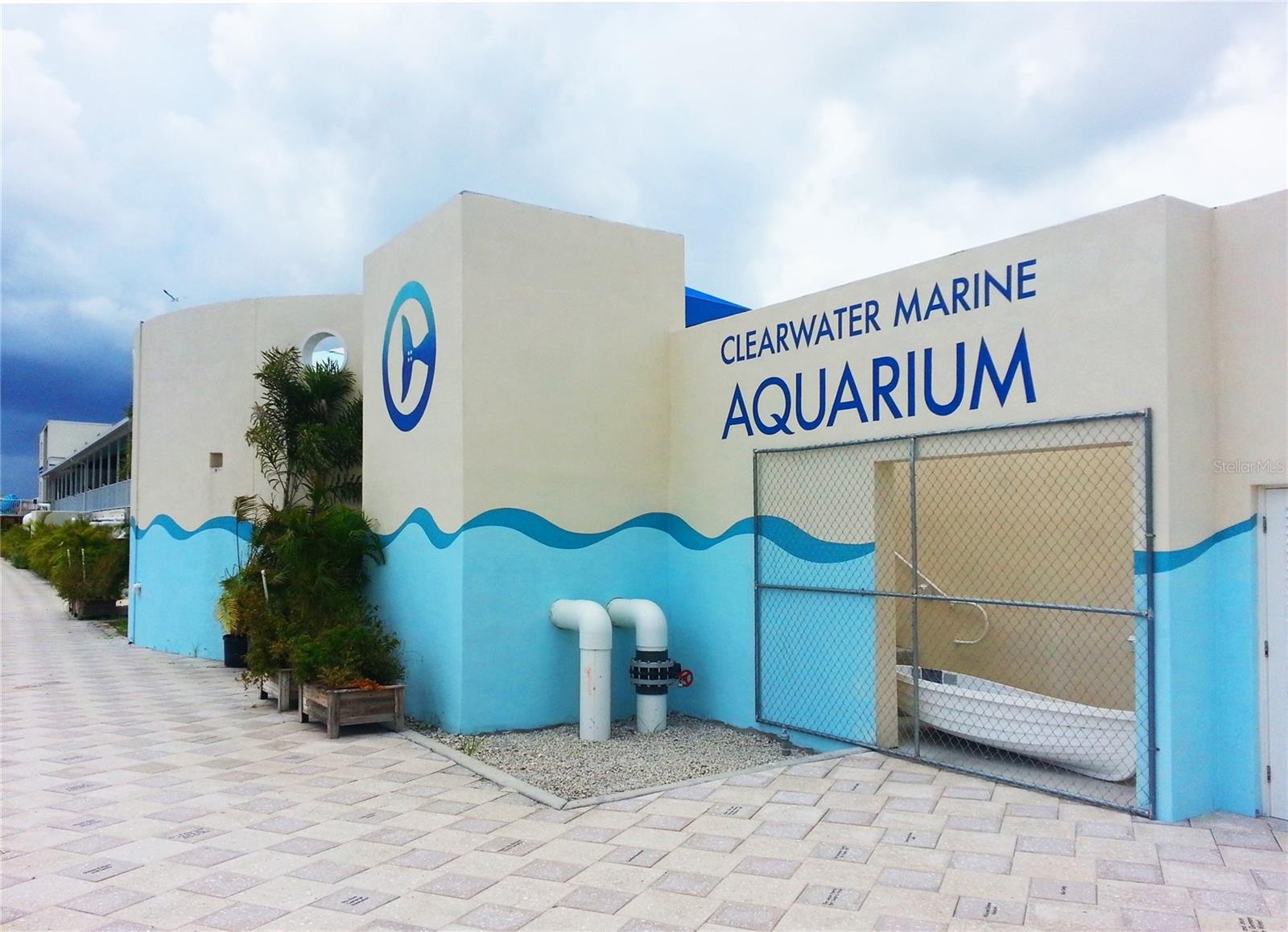 Clearwater Aquarium