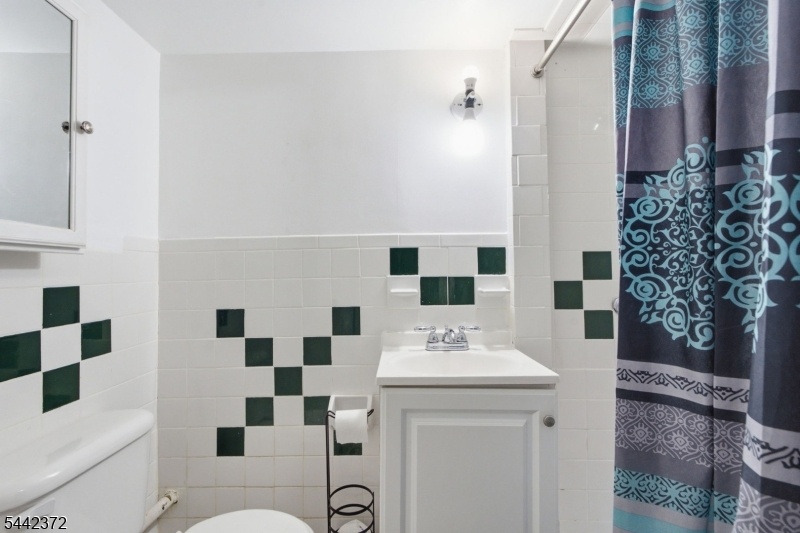 Basement Bathroom