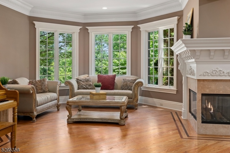 Living Room & Fireplace