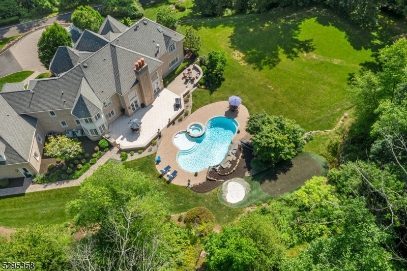 Aerial View of Backyard