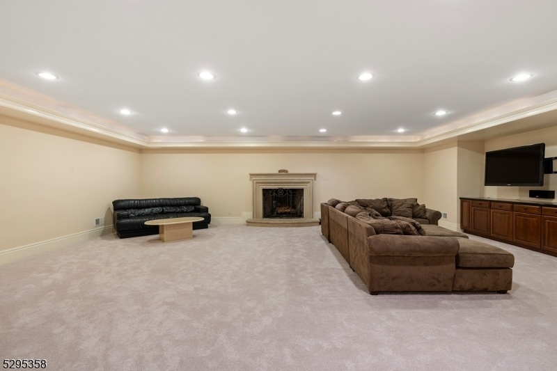 Entertainment / Media Room